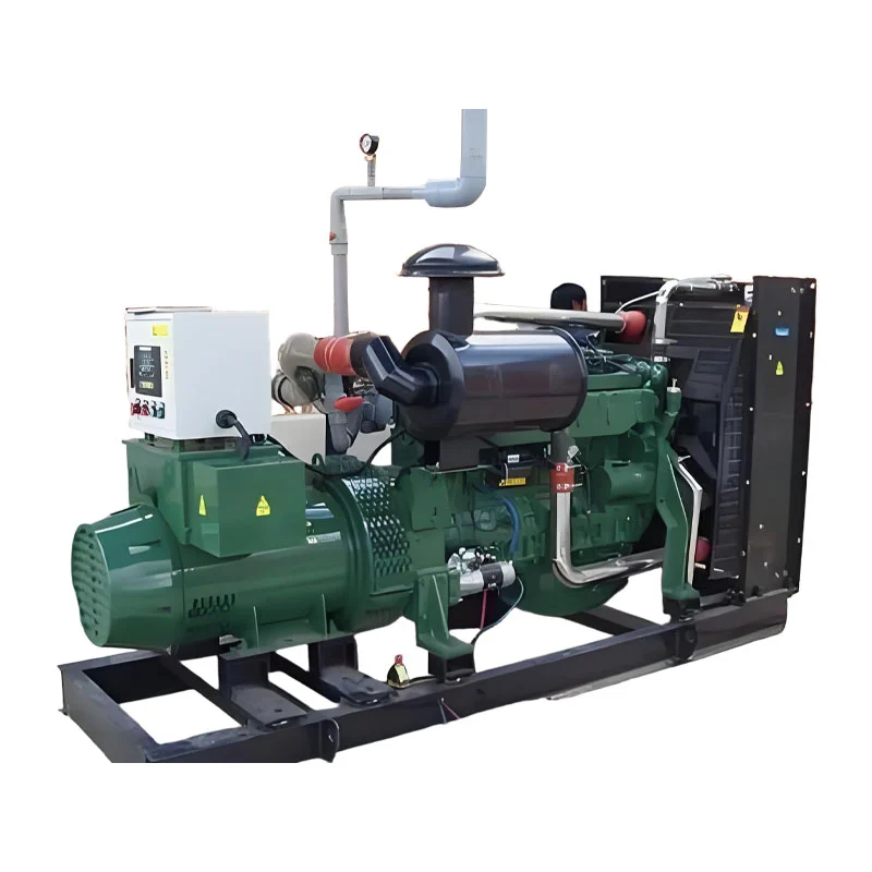 Vieno kuro 100kw biodujų generatorius Vieno kuro 100kw biodujų generatorius